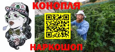 сатива Будённовск