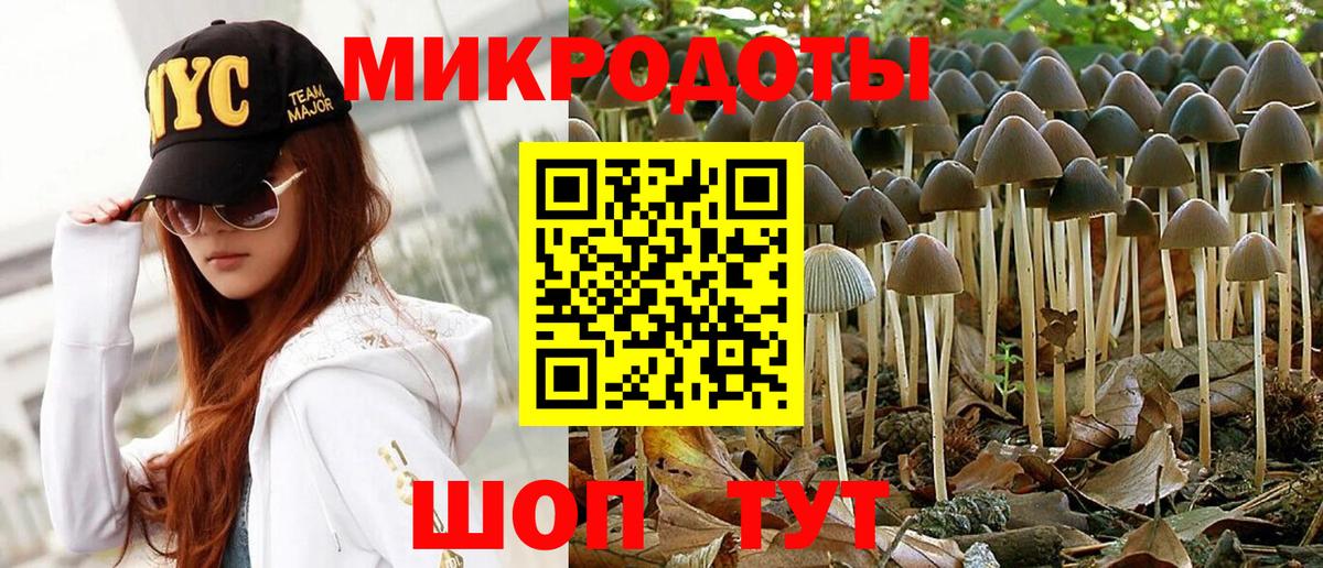 Псилоцибиновые грибы прущие грибы  Вход с VPN  Псков 