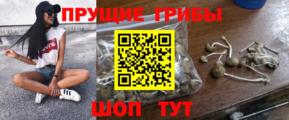 Галлюциногенные грибы мицелий Псков